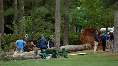 Two Massive Trees Fall On Course During Masters Nearly Crush Patrons