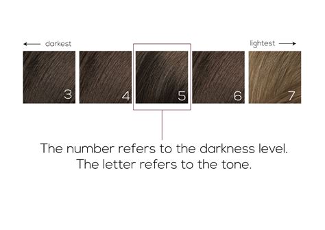Discover 78 Natural Hair Color Chart Ineteachers