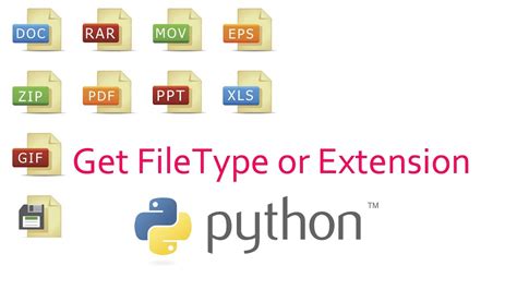 How To Check File Extension Using Python Youtube