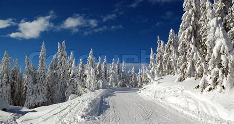 Winter Landscape With Snow In Mountains Slovakia Stock