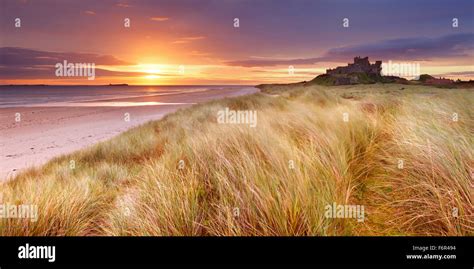 Sunrise Over The Dunes At Bamburgh Northumberland England With The