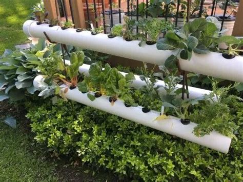How To Build Hydroponic System With Pvc