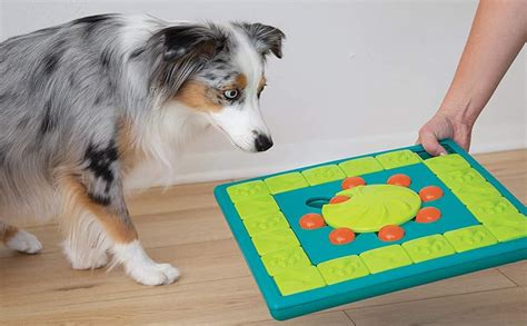 Nina Ottosson By Outward Hound Interactive Puzzle Game Dog Toys