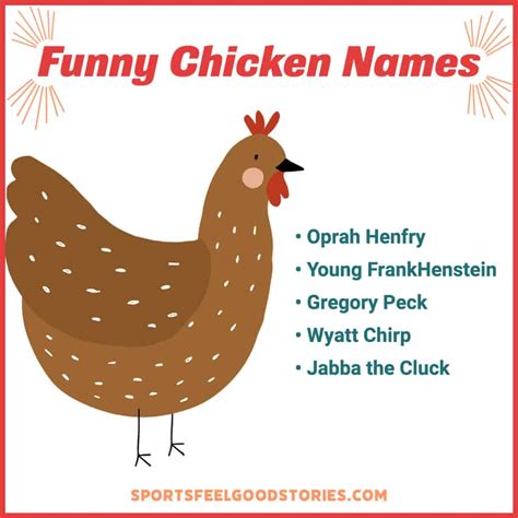 173 Funny Chicken Names To Raise The Roost And Egg Cite You