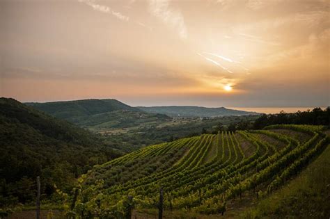 Primorska Wine Region Slovenia