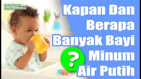 Maybe you would like to learn more about one of these? Kapan Dan Berapa Banyak Bayi Minum Air Putih? - YouTube
