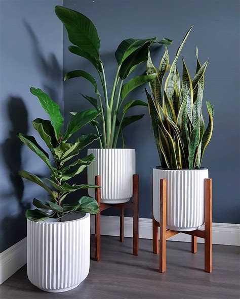 65 Indoor Garden Ideas You Will Fall For Plant Decor Indoor House