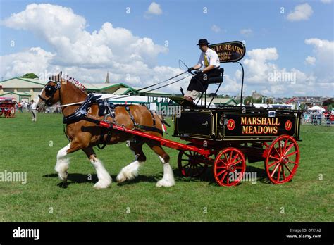 Border Union Show Kelso Scotland Annual Event July Dray Horses