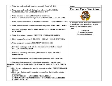 The Nitrogen Cycle Worksheets