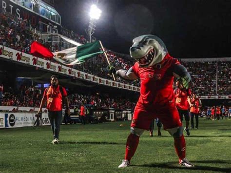 anuncia fidel kuri el regreso de los tiburones rojos de veracruz