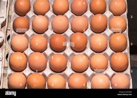 Chicken Eggs Stacked In Trays Stock Photo Alamy
