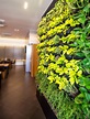 Giardino verticale: 20 idee per una parete verde in casa! ispiratevi