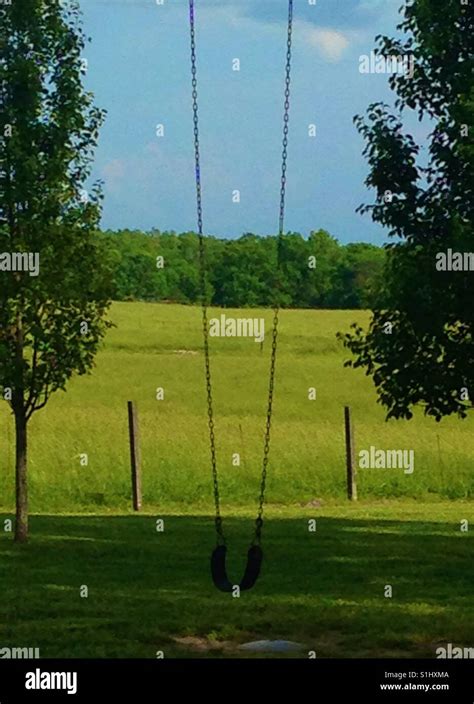 A Swing Between Two Trees Overlooking The Countryside Stock Photo Alamy