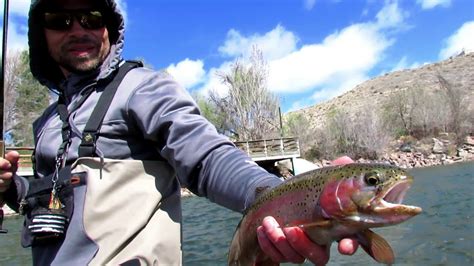 Fly Fishing The Arkansas River Youtube