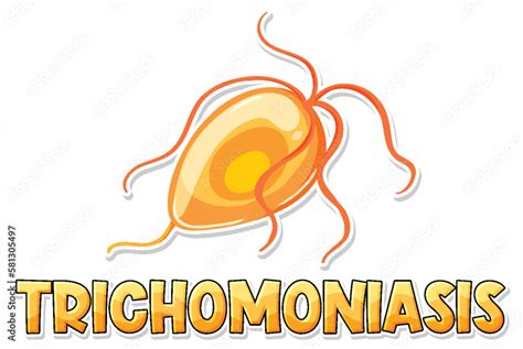 Trichomonas Vaginalis A Protozoan Parasite Stock Vector Adobe Stock