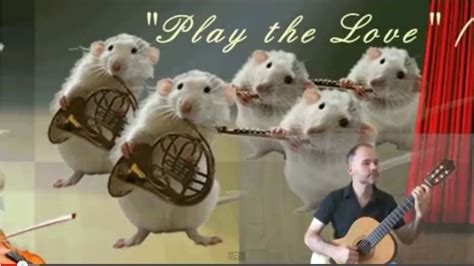 Classical Guitar And Mice Orchestraplay The Love Classical Guitar Music