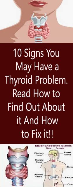 10 Signs You May Have A Thyroid Problem Read How To Find Out About It