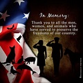 Reflecting on the Men, Women, and Animals of our Armed-Services for ...