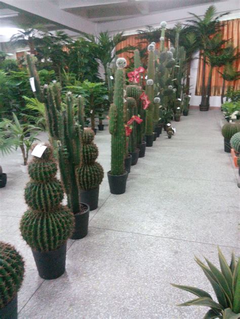 With such a wide selection of artificial flowers & plants for sale, from brands like nearly natural, inc., vickerman company. Material Artificial Cactus Flowering Plants And Succulent ...
