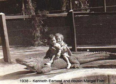 What Could Possibly Go Wrong Photos Of Children Riding Alligators