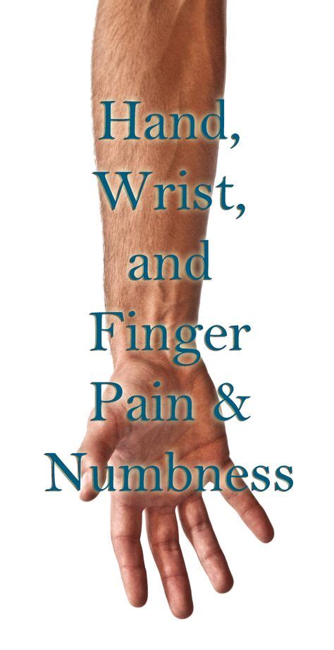 1307 best sweetwater massage therapy images on pinterest human body physical therapy and massage