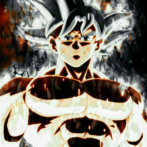 الزعيم غوكو الغريزة الفائقة المكتملة Anime Dragon Ball Goku Anime