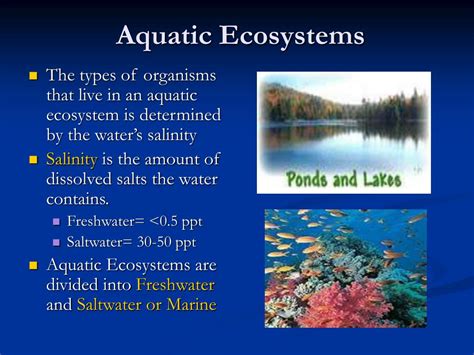 Aquatic Ecosystems Aquatic Ecosystems Ppt Bank Home Com