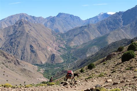 High Atlas Mountains Trekking Guide Hiking In Morocco Tripfuser
