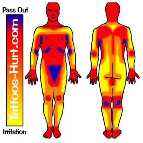 Diagram Representing Pain Levels On Different Areas Of The Body Best Diagram Collection