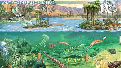Paleozoic Era On Emaze