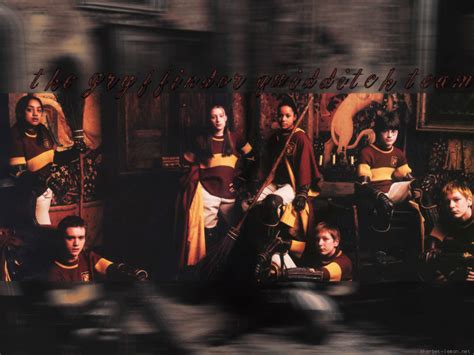 Gryffindor Team Quidditch Wallpaper 9740696 Fanpop