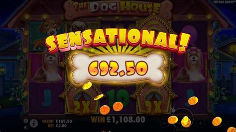 The Dog House Slot From Pragmatic Play Wild Reels Dog House Slot Dogs