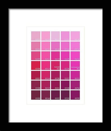 Pantone Shades Of Pink Framed Print By Mark Rogan Framed Prints