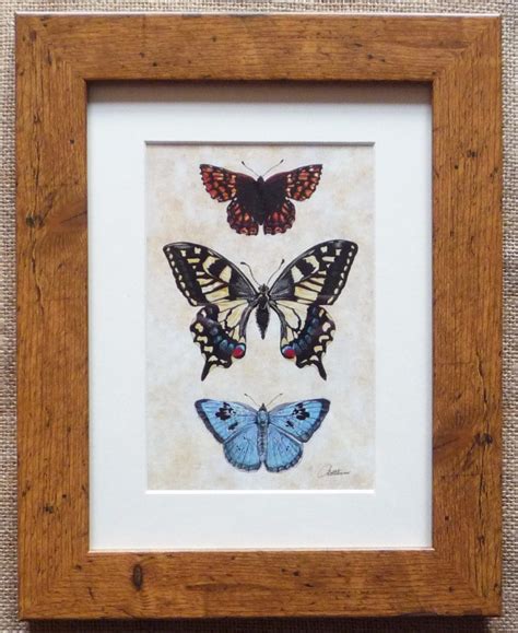 Butterflies Framed Butterfly Print Butterfly Picture Butterfly