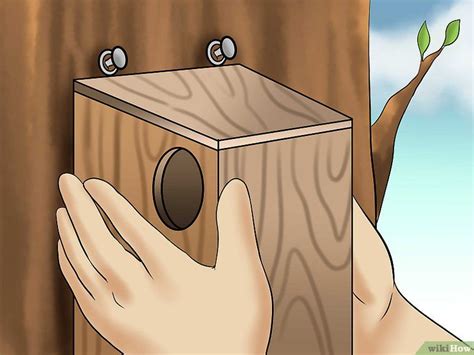 How To Build A Squirrel House 14 Steps With Pictures Squirrel Home