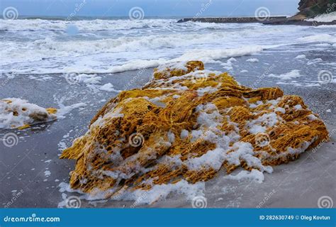Eutrophication Of The Sea Dirty Foam On The Black Sea During A Storm