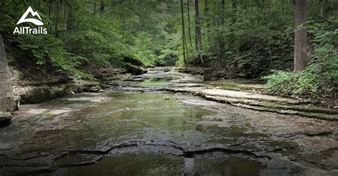 10 Best Trails And Hikes In Indiana Alltrails