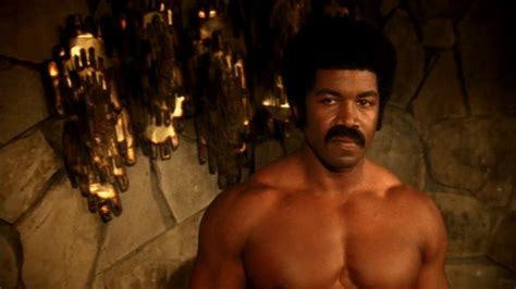 Black Dynamite Hd Wallpaper Posted By Stacey Robert