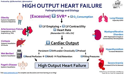 High Output Heart Failure Pathophysiology And Differential Grepmed