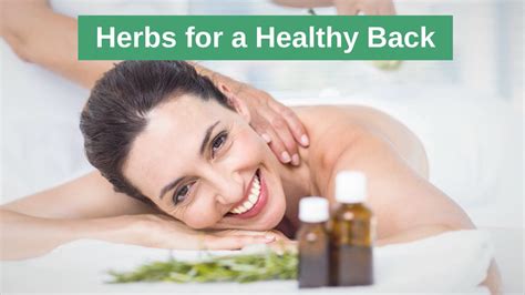 Herbs For A Healthy Back Hinterland Chiropractic