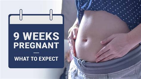 Early pregnancy signs include breast tenderness, fatigue and nausea. 9 Weeks Pregnant - Symptoms, Baby Development and Experts ...
