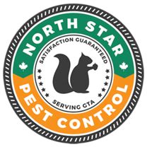 Call today for $50 off. North Star Pest Control | Pest & Animal Control in Milton ...