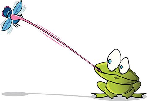 160 Frog Catching Fly Stock Illustrations Royalty Free Vector Graphics And Clip Art Istock