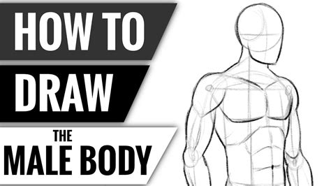 Male Body Template Drawing