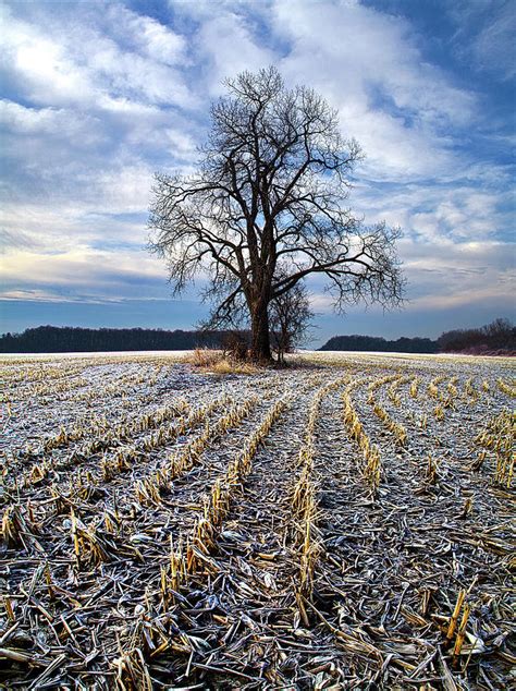 Waiting For Spring Photograph By Phil Koch Fine Art America