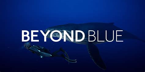 Beyond Blue Switch Review
