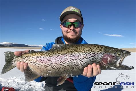 Top Colorado Fishing Locations Guide Antero Reservoir