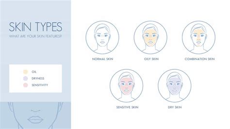 What Are The Different Facial Skin Types And How Do You