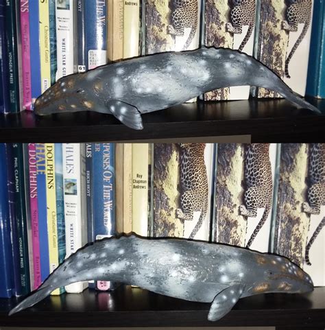 Gray Whale Maia And Borges Schleich Mojö Fun Unknown Company