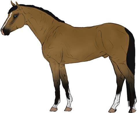 Animated Horse Transparent Background Transparent Cartoon Jingfm
